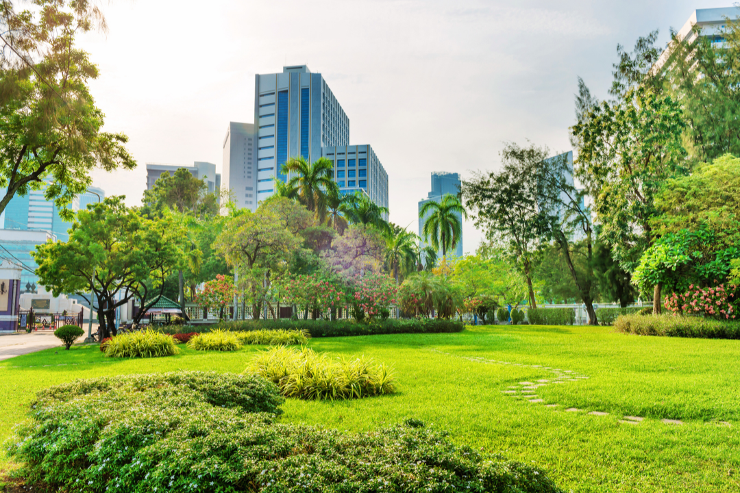 Lumphini Park